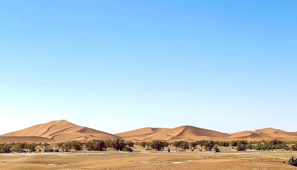 Chegaga Desert Trips Camp M’hamid El Ghizlane Exterior foto