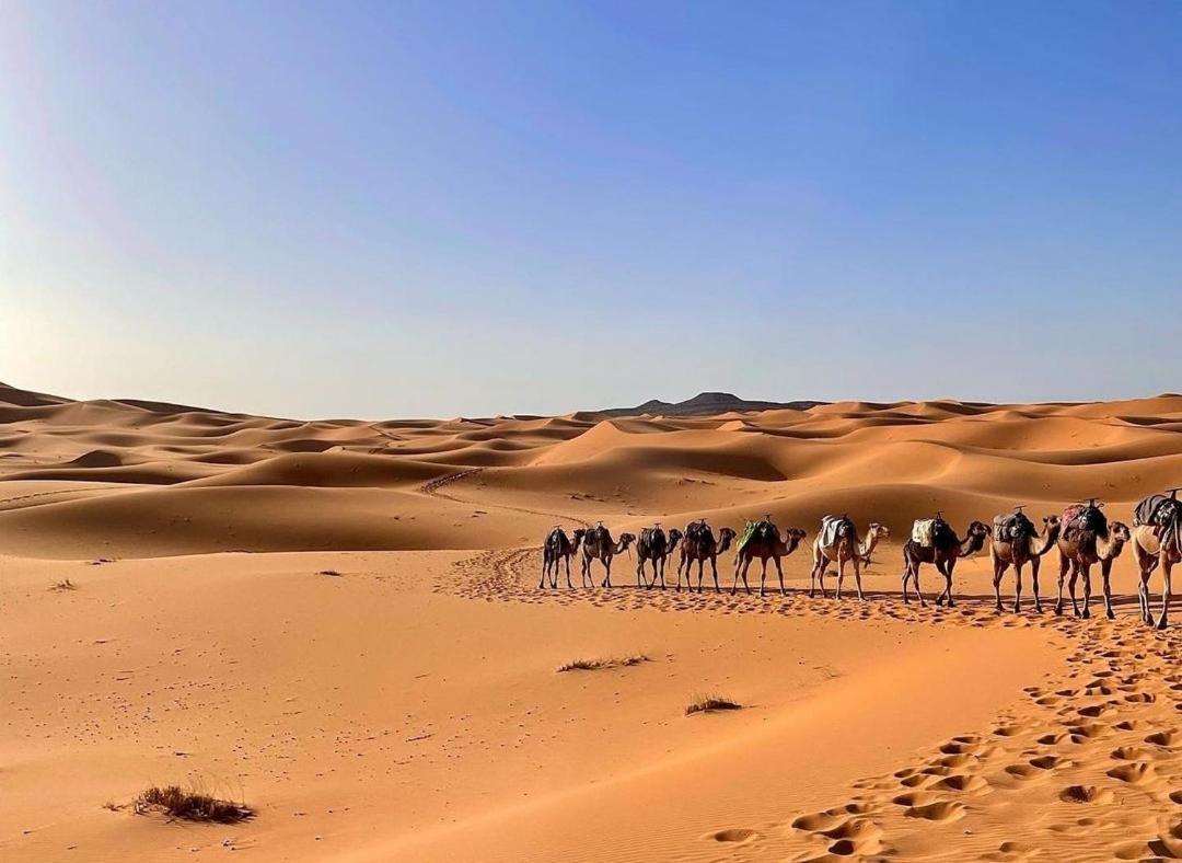 Chegaga Desert Trips Camp M’hamid El Ghizlane Exterior foto