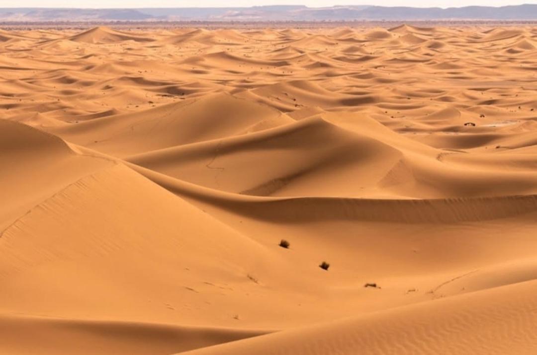 Chegaga Desert Trips Camp M’hamid El Ghizlane Exterior foto